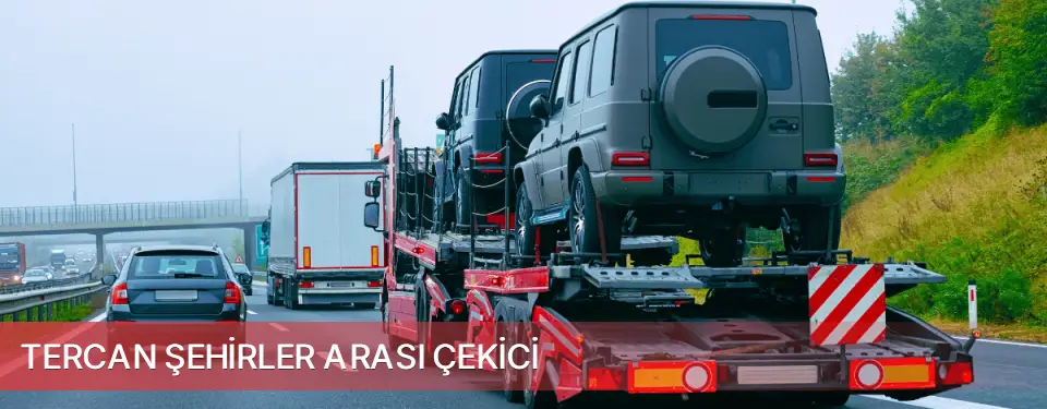 Tercan İlçemi Şehirler Arası Çekici