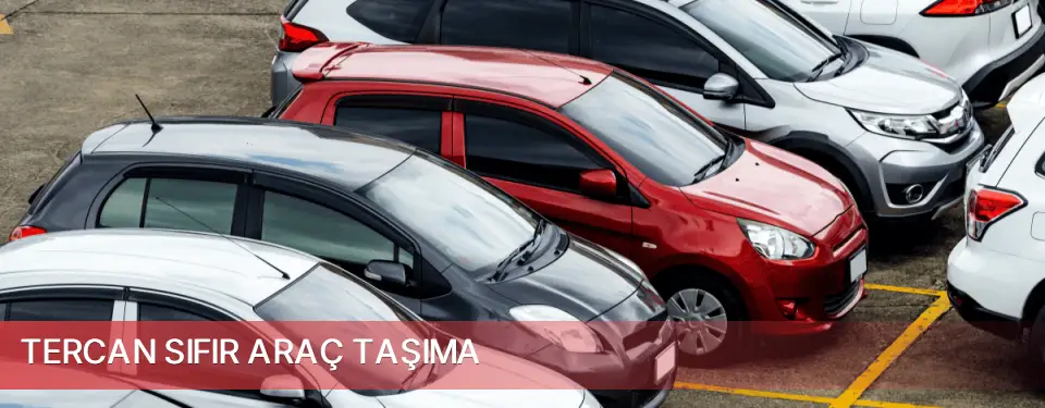 Tercan İlçemi Sıfır Araç Taşıma