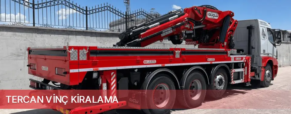 Tercan İlçemi Vinç Kiralama