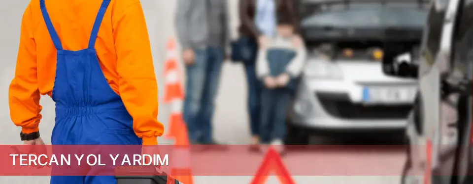 Tercan İlçemi Yol Yardım